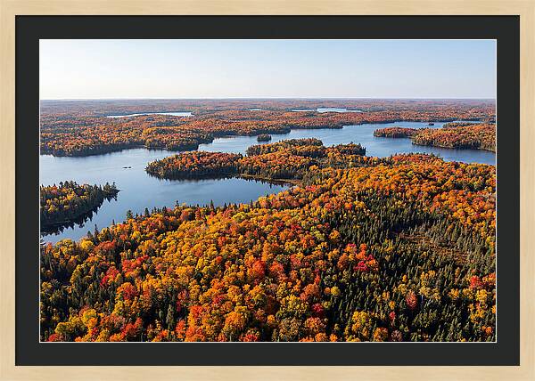 Autumn Colors Over Bwca