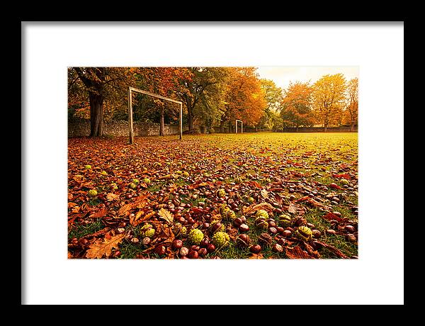 Autumn Conker Gathering