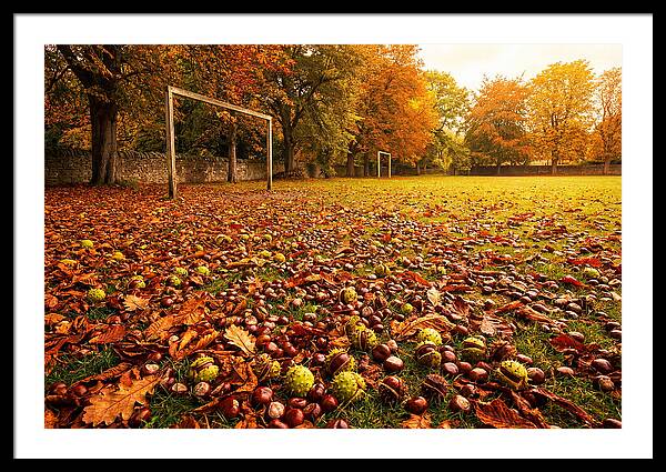 Autumn Conker Gathering