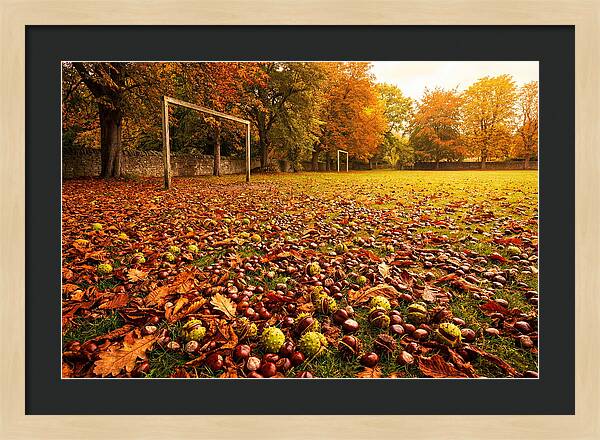 Autumn Conker Gathering