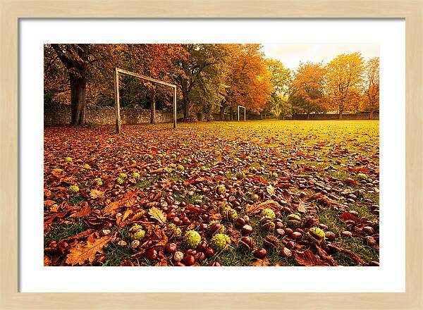 Autumn Conker Gathering