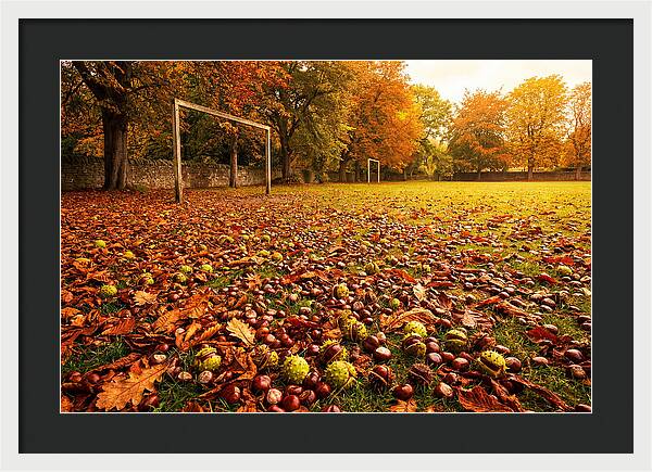 Autumn Conker Gathering