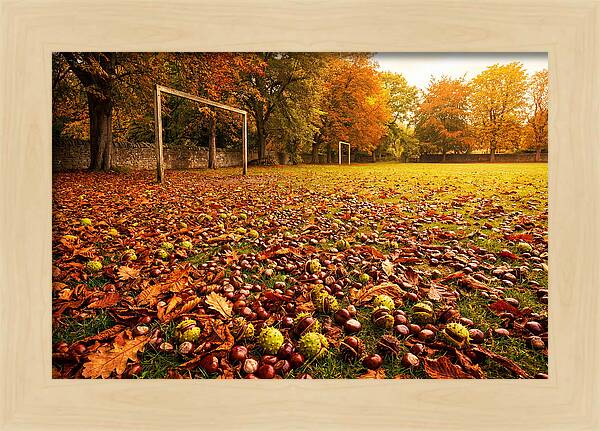 Autumn Conker Gathering