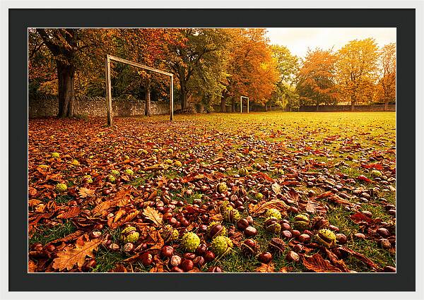 Autumn Conker Gathering