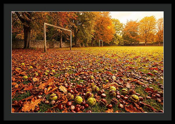 Autumn Conker Gathering