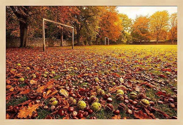 Autumn Conker Gathering