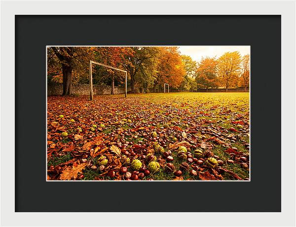Autumn Conker Gathering