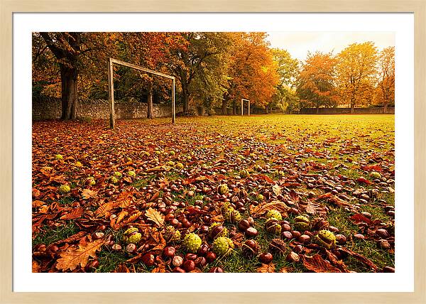 Autumn Conker Gathering