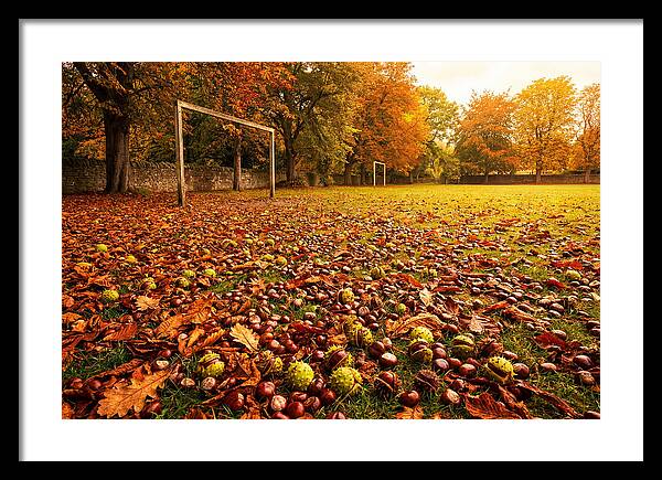 Autumn Conker Gathering