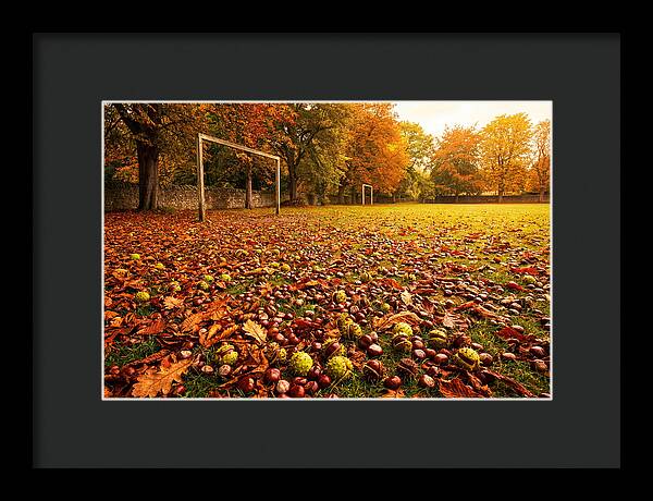 Autumn Conker Gathering