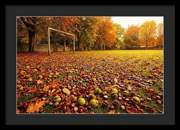 Autumn Conker Gathering