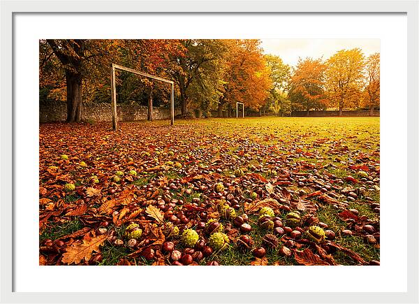 Autumn Conker Gathering