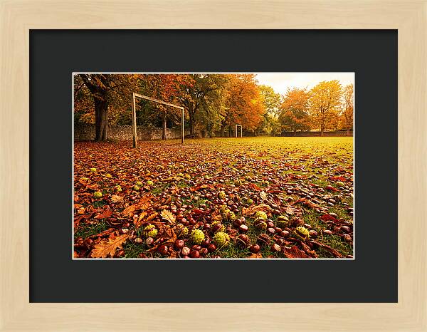 Autumn Conker Gathering