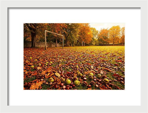 Autumn Conker Gathering