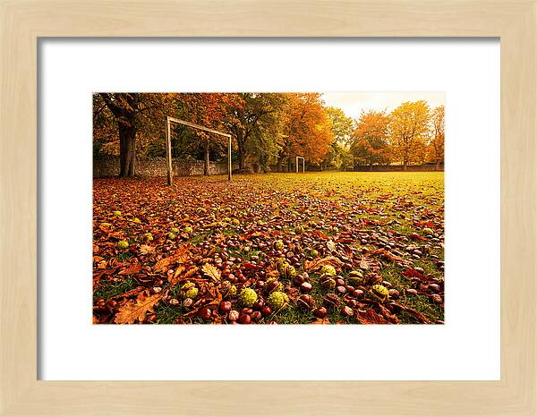 Autumn Conker Gathering