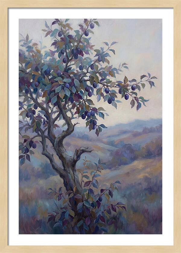 Autumn Damson Tree