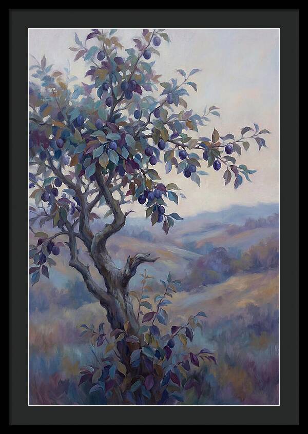 Autumn Damson Tree