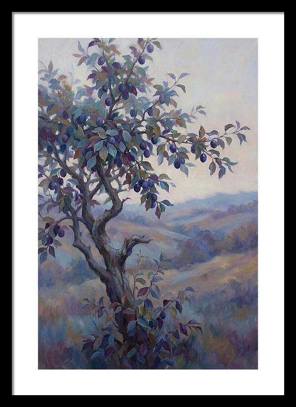 Autumn Damson Tree