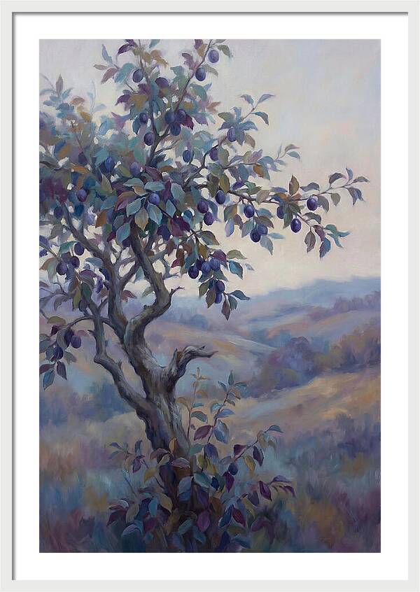 Autumn Damson Tree