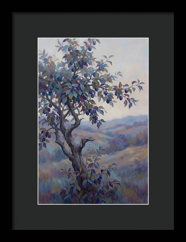 Autumn Damson Tree