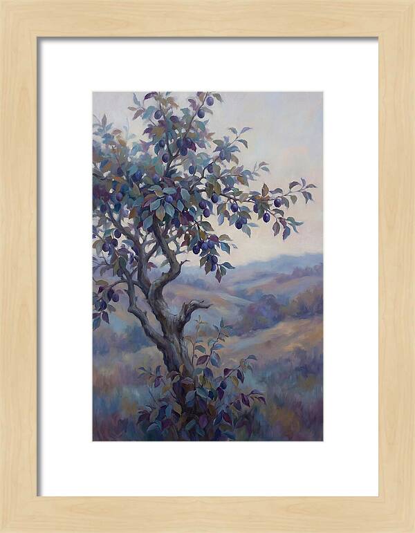 Autumn Damson Tree