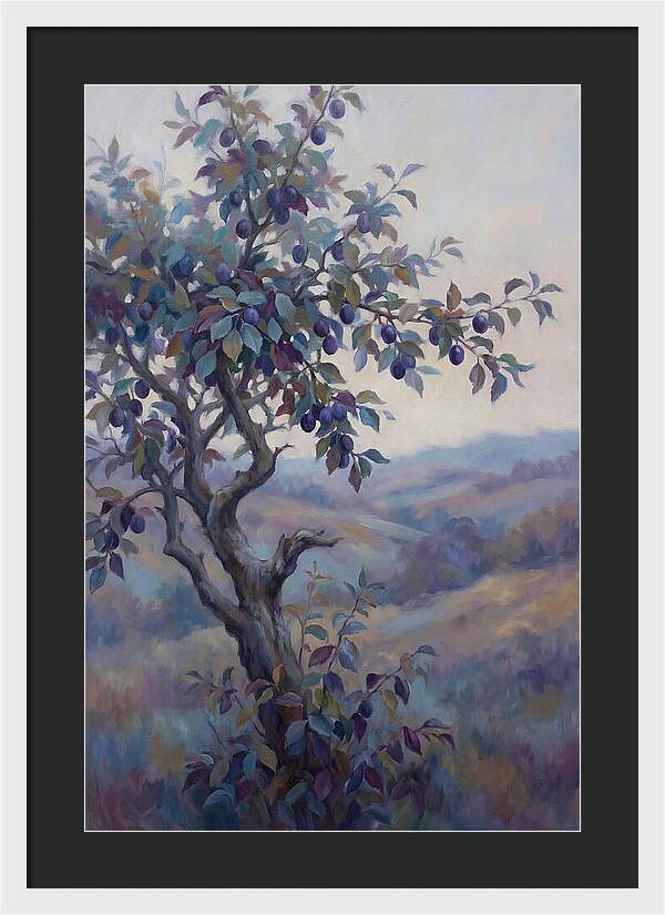 Autumn Damson Tree