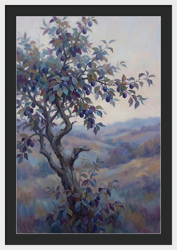 Autumn Damson Tree
