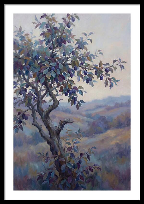Autumn Damson Tree