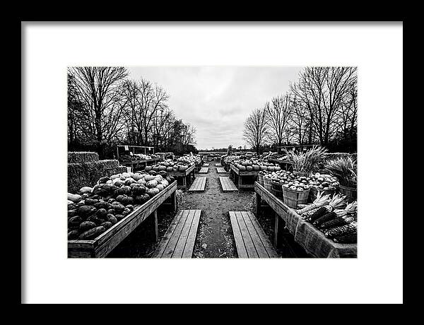 Autumn Farmers Market Scene