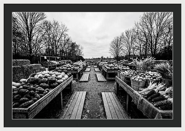 Autumn Farmers Market Scene