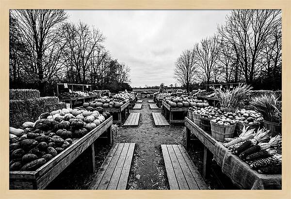 Autumn Farmers Market Scene