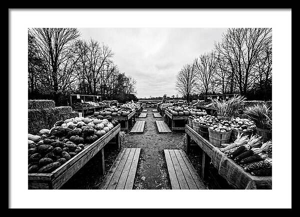 Autumn Farmers Market Scene