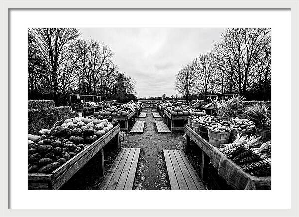 Autumn Farmers Market Scene