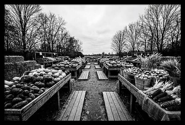 Autumn Farmers Market Scene