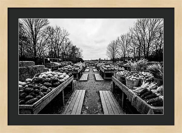 Autumn Farmers Market Scene