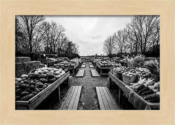 Autumn Farmers Market Scene