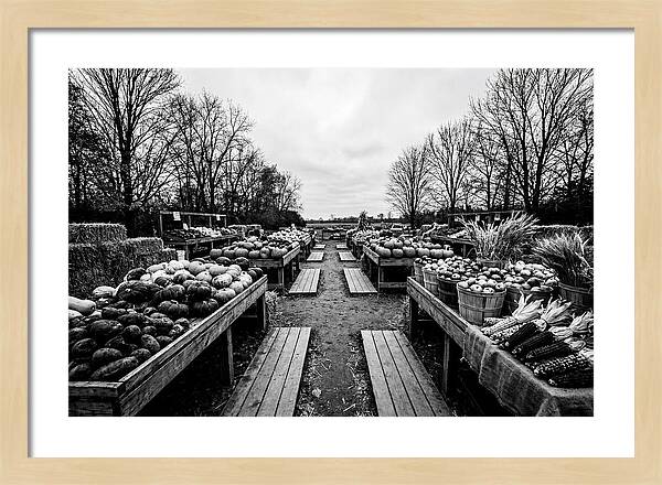 Autumn Farmers Market Scene