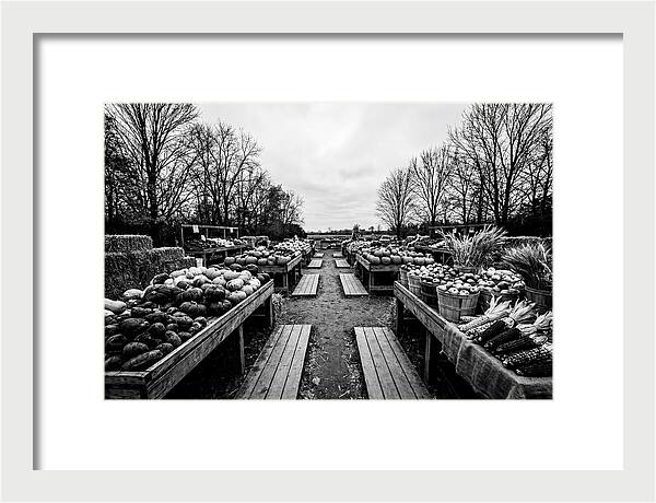 Autumn Farmers Market Scene