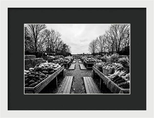 Autumn Farmers Market Scene