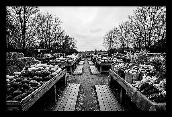 Autumn Farmers Market Scene