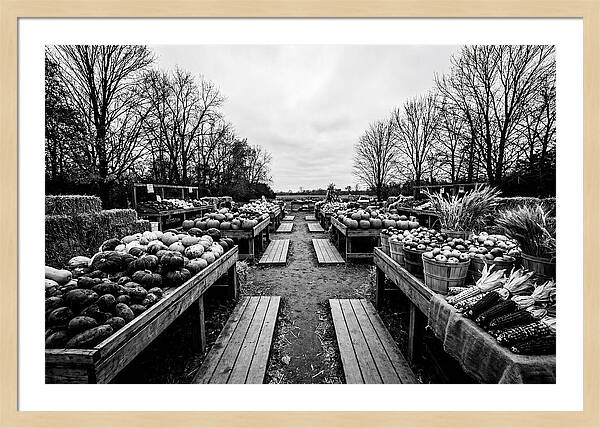 Autumn Farmers Market Scene