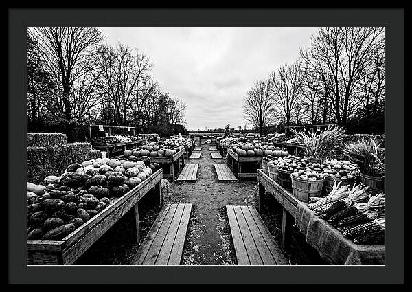 Autumn Farmers Market Scene
