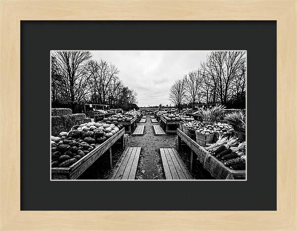 Autumn Farmers Market Scene