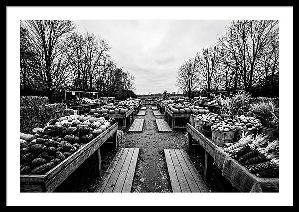 Autumn Farmers Market Scene