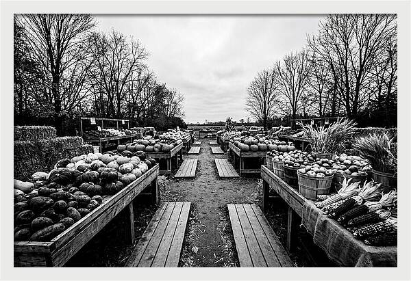 Autumn Farmers Market Scene