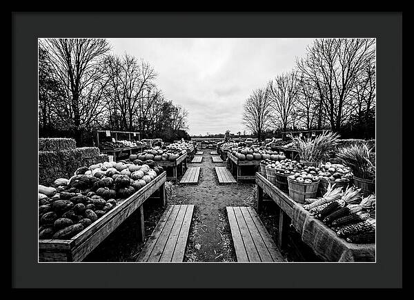 Autumn Farmers Market Scene