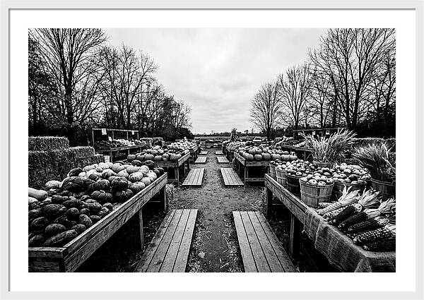 Autumn Farmers Market Scene