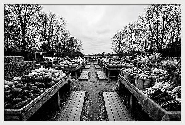 Autumn Farmers Market Scene