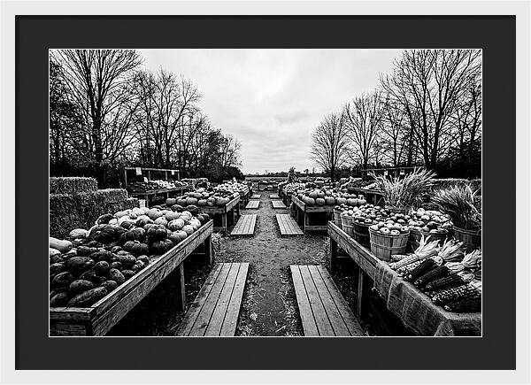 Autumn Farmers Market Scene