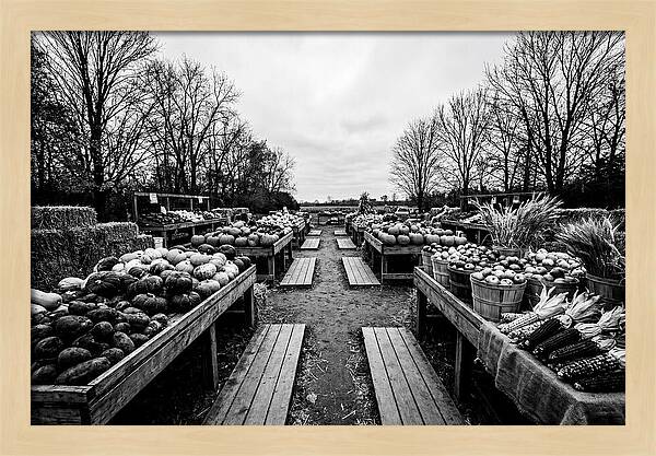 Autumn Farmers Market Scene